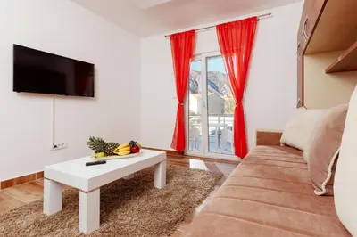 a living room with a couch and a tv at Apartments Blue Sea in Kotor