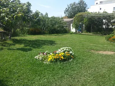 a garden with a bunch of flowers in the grass at House Kraja in Ulcinj