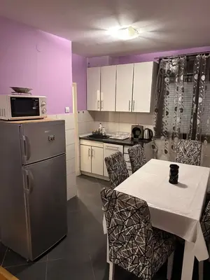 a kitchen with a table with chairs and a refrigerator at Apartment Branka in Budva