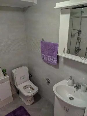 a small bathroom with a toilet and a sink at Apartment Branka in Budva