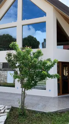 a small tree in front of a white building at Villa Coast of Montenegro in Bar