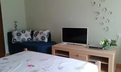 a bedroom with a bed and a tv and a table at Apartment Ivan in Kotor