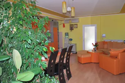 a living room with a large green plant at Apartments Stevanović in Dobra Voda