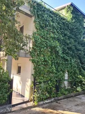 a ivy covered building with a woman standing behind a fence at Villa Nadija in Čanj