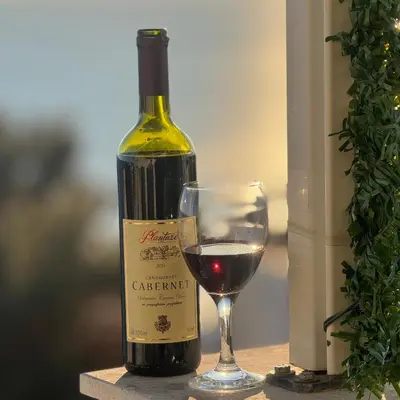 a bottle of wine and a glass of red wine at Apartman Aleksandar in Ulcinj