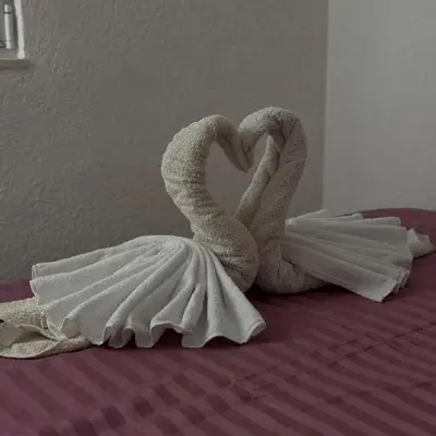 two towel swans making a heart on a bed at Apartman Aleksandar in Ulcinj