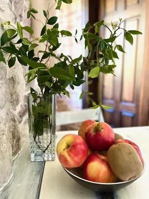 a bowl of apples and a vase with a plant at Una apartments in Kotor