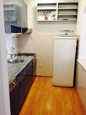 a small kitchen with a sink and a refrigerator at Home Apartment Petrovac in Petrovac na Moru