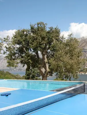 a tennis court with a tree in the background at Villa Mima in Kotor