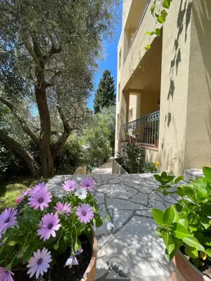 a bunch of purple flowers in a pot next to a building at Apartmani Agape in Petrovac na Moru