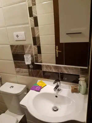 a bathroom with a white sink and a toilet at Three Palms Apartments Novakovic in Petrovac na Moru