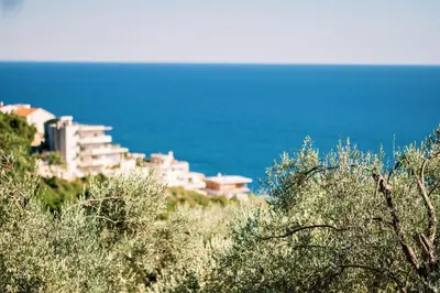 a group of buildings on a hill next to the ocean at Holiday Park Olive Tree in Ulcinj