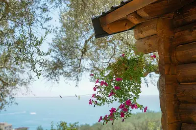 a hanging basket of pink flowers on the side of a building at Holiday Park Olive Tree in Ulcinj