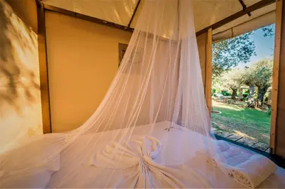 a bed with a mosquito net in front of a window at Holiday Park Olive Tree in Ulcinj