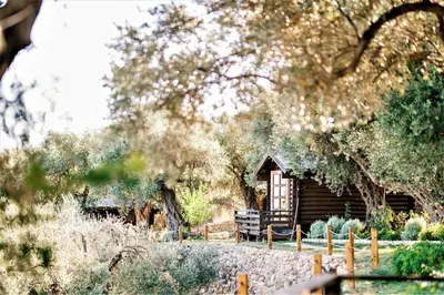 a small cabin in the middle of a field with trees at Holiday Park Olive Tree in Ulcinj