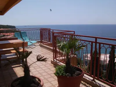 a balcony with potted plants and a view of the ocean at Monterama Apartments in Sutomore