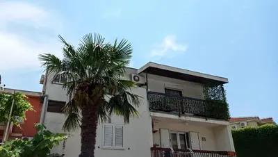 a palm tree in front of a white building at Apartment Maja in Budva