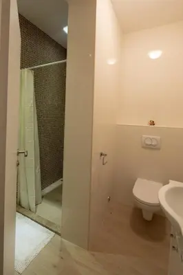 a bathroom with a shower and a toilet and a sink at Apartments Raskovic in Radanovići