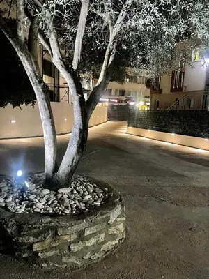 a tree in a circle of rocks next to a building at Apartments Pribilovic in Budva