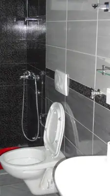 a bathroom with a white toilet and a shower at Apartmani Jankovic in Budva