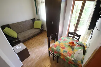 a living room with a table and a couch at Apartments Olga in Virpazar