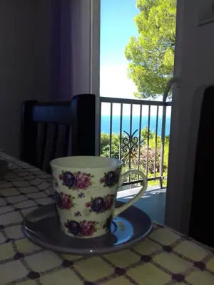 a coffee cup sitting on a table in front of a window at Apartments Pines in Bar