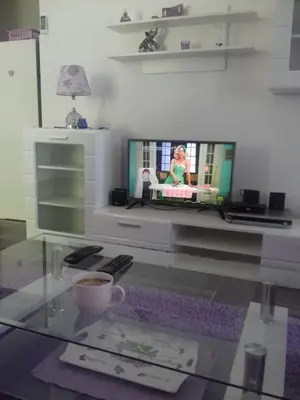 a living room with a tv and a glass table at Apartments Pines in Bar