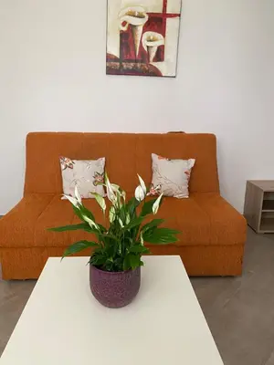 a living room with a couch and a table with a plant at Dajkovic Apartmani in Bar