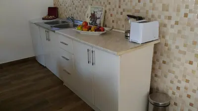 a kitchen with a sink and a bowl of fruit on a counter at Apartment Mond in Virpazar