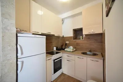 a small kitchen with white appliances and wooden walls at Villa Old Olive 2 in Budva