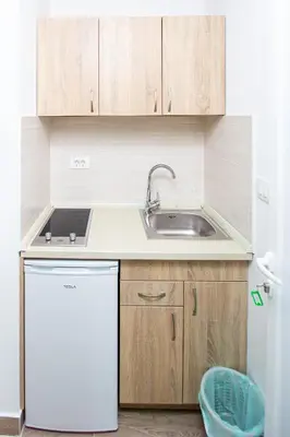 a small kitchen with a sink and a refrigerator at Apartment Sofija in Budva
