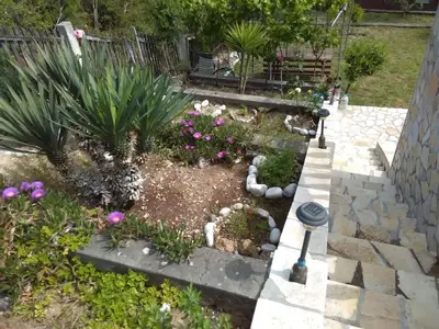 a garden with flowers and plants in a yard at Holiday Home Bratica in Ulcinj