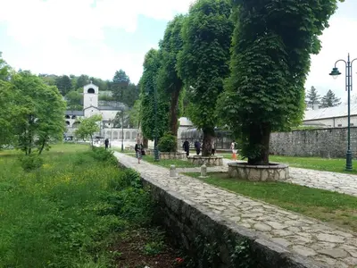 a tree in a park next to a stone wall at Apartments Mirković in Cetinje