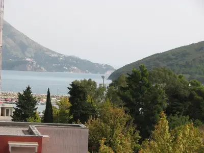 a view of a large body of water with trees at Apartments B&S Lux in Budva