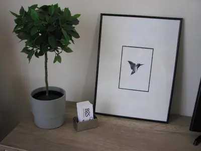 a potted plant sitting on a table next to a picture at Apartments B&S Lux in Budva