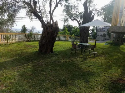 a table and chairs next to a tree with an umbrella at Apartment Spuza in Ulcinj