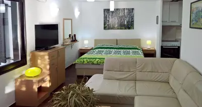 a living room with a couch and a bed at Apartments Zezelj in Sveti Stefan