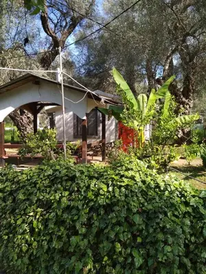 a house with a bush in front of it at Raj mira in Utjeha