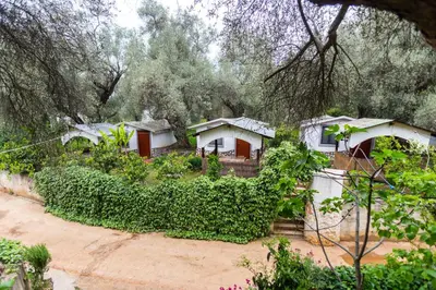 a row of cottages in a forest of trees at Raj mira in Utjeha