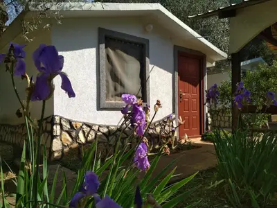 a small house with purple flowers in front of it at Raj mira in Utjeha