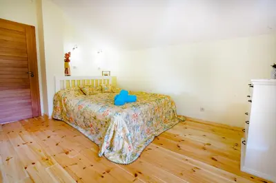 a bedroom with a bed with a blue object on it at 