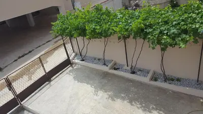 a row of potted plants on the side of a building at Apartments Diva in Dobra Voda