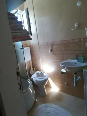 a bathroom with a toilet and a sink at Apartments Vis Jaz in Budva