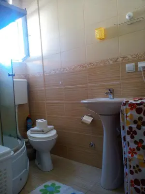 a bathroom with a toilet and a sink at Apartments Vis Jaz in Budva