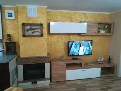 a living room with a tv and a fireplace at Apartments Vis Jaz in Budva