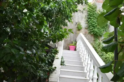 a stairway with green trees and plants at Apartman Bećir in Budva