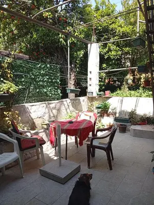 a dog sitting on a patio with a table and chairs at Apartment Radovic in Kotor