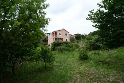 a house in the middle of a field with trees at President Holiday home in Utjeha