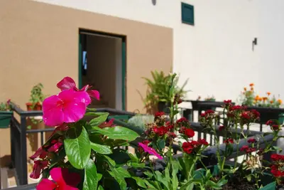 a pink flower is growing on a balcony at Apartment Divina in Sveti Stefan