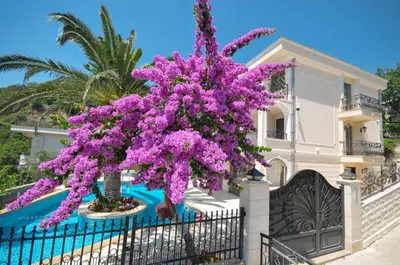 a tree with purple flowers in front of a house at Villa St.George in Petrovac na Moru
